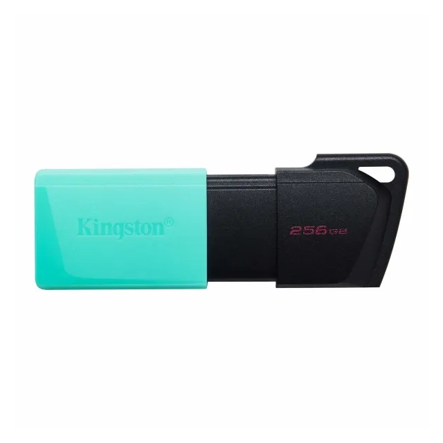 FLES DISK KINGSTON 256GB DTXM/256GB USB 3.2