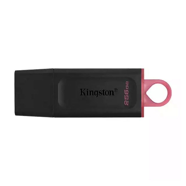 KINGSTON 256GB DTX/256GB USB Flash memorija 3.2 Black