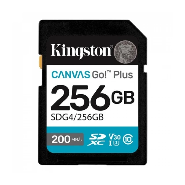 Micro SD Card 256GB Kingston SDG4/256GB class 10 200Mbs/160Mbs