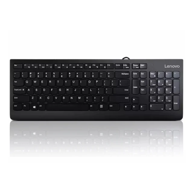 Tastatura LENOVO 300 USB/US/103P/crna